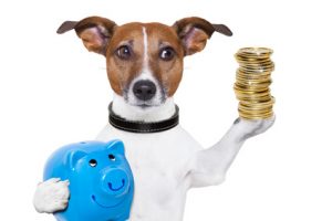 dog holding a blue piggy bank and a stack of coins
